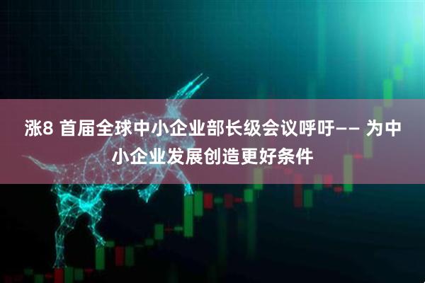 涨8 首届全球中小企业部长级会议呼吁—— 为中小企业发展创造更好条件