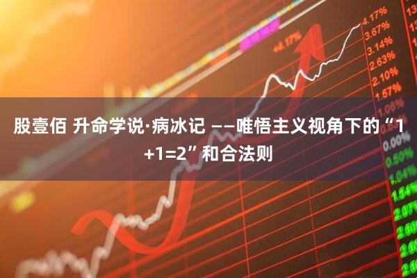 股壹佰 升命学说·病冰记 ——唯悟主义视角下的“1+1=2”和合法则