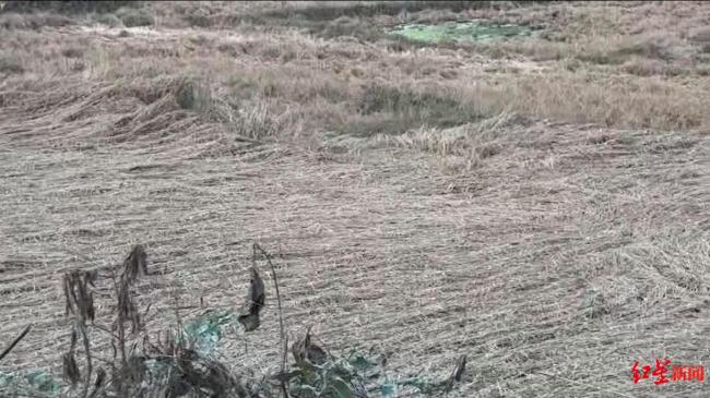 广西百色洪水围村致庄稼被淹 村民生活受严重影响