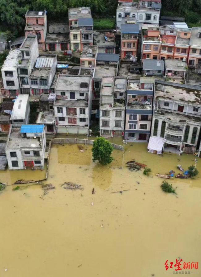 广西百色洪水围村致庄稼被淹